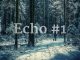 echo-01