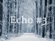 echo-3